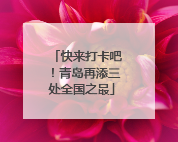 快来打卡吧！青岛再添三处全国之最