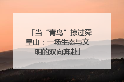 当“青鸟”掠过舜皇山：一场生态与文明的双向奔赴