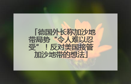 德国外长称加沙地带局势“令人难以忍受”！反对美国接管加沙地带的想法