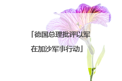 德国总理批评以军在加沙军事行动
