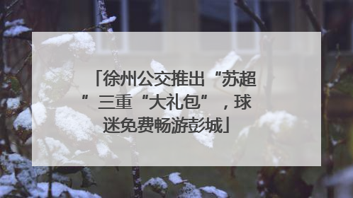 徐州公交推出“苏超”三重“大礼包”，球迷免费畅游彭城
