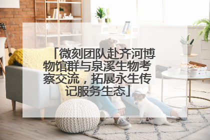 微刻团队赴齐河博物馆群与泉溪生物考察交流，拓展永生传记服务生态