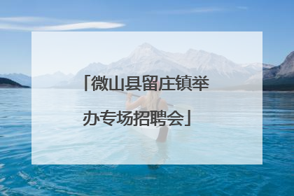 微山县留庄镇举办专场招聘会