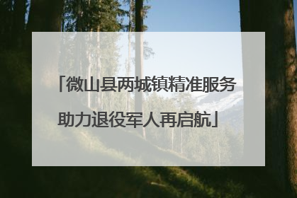微山县两城镇精准服务助力退役军人再启航
