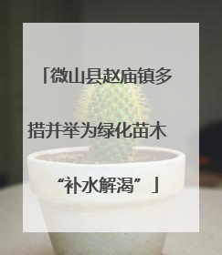 微山县赵庙镇多措并举为绿化苗木“补水解渴”