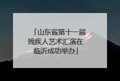 山东省第十一届残疾人艺术汇演在临沂成功举办