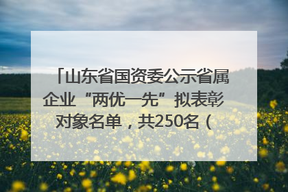 山东省国资委公示省属企业“两优一先”拟表彰对象名单，共250名（个）党员和党组织