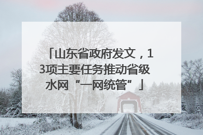 山东省政府发文，13项主要任务推动省级水网“一网统管”