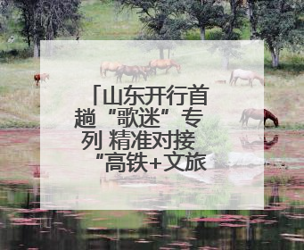 山东开行首趟“歌迷”专列 精准对接“高铁+文旅”热点需求