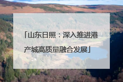 山东日照：深入推进港产城高质量融合发展
