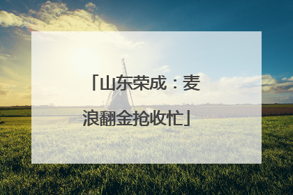 山东荣成：麦浪翻金抢收忙