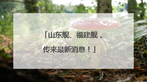 山东舰、福建舰，传来最新消息！