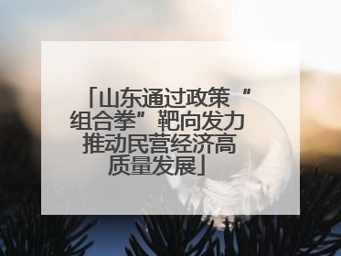 山东通过政策“组合拳”靶向发力 推动民营经济高质量发展