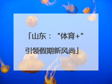 山东：“体育+”引领假期新风尚