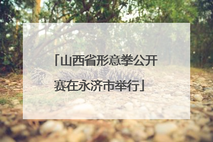 山西省形意拳公开赛在永济市举行