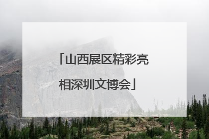 山西展区精彩亮相深圳文博会
