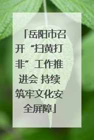 岳阳市召开“扫黄打非”工作推进会 持续筑牢文化安全屏障