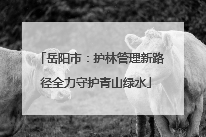 岳阳市：护林管理新路径全力守护青山绿水