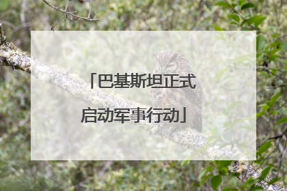 巴基斯坦正式启动军事行动