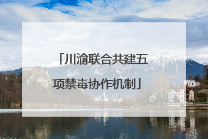 川渝联合共建五项禁毒协作机制