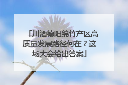 川酒德阳绵竹产区高质量发展路径何在？这场大会给出答案