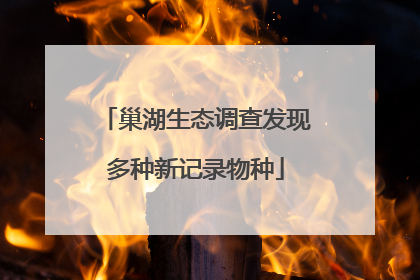 巢湖生态调查发现多种新记录物种