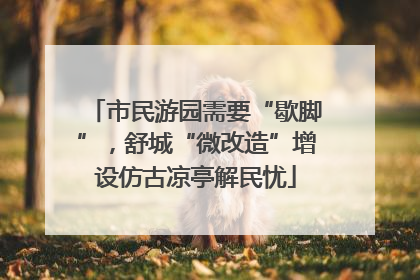 市民游园需要“歇脚”，舒城“微改造”增设仿古凉亭解民忧