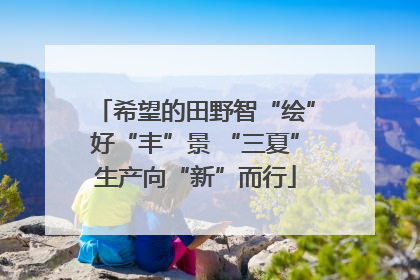 希望的田野智“绘”好“丰”景 “三夏”生产向“新”而行