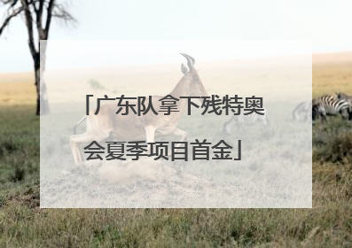 广东队拿下残特奥会夏季项目首金