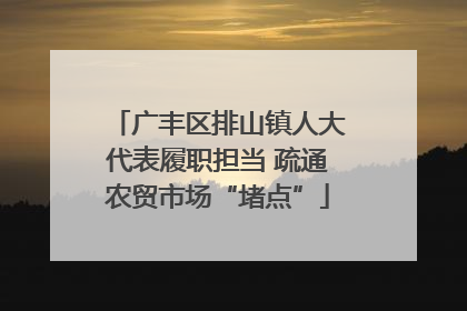广丰区排山镇人大代表履职担当 疏通农贸市场“堵点”