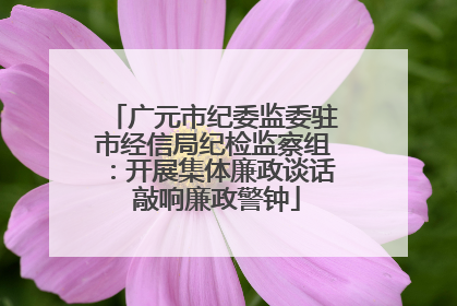 广元市纪委监委驻市经信局纪检监察组:开展集体廉政谈话 敲响廉政警钟