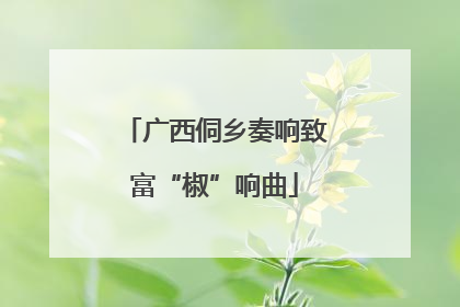 广西侗乡奏响致富“椒”响曲