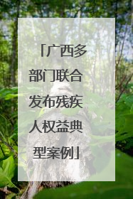 广西多部门联合发布残疾人权益典型案例