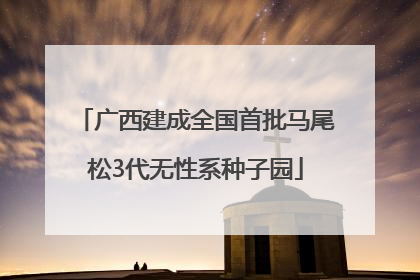 广西建成全国首批马尾松3代无性系种子园