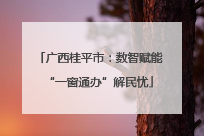 广西桂平市：数智赋能“一窗通办”解民忧