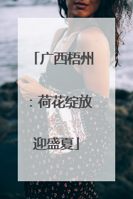 广西梧州：荷花绽放迎盛夏
