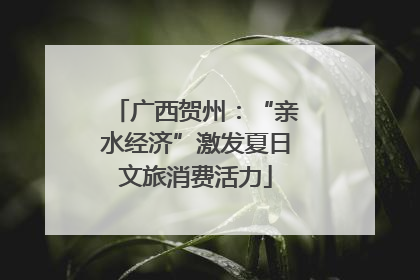 广西贺州：“亲水经济”激发夏日文旅消费活力