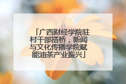 广西财经学院驻村干部搭桥，新闻与文化传播学院赋能油茶产业振兴