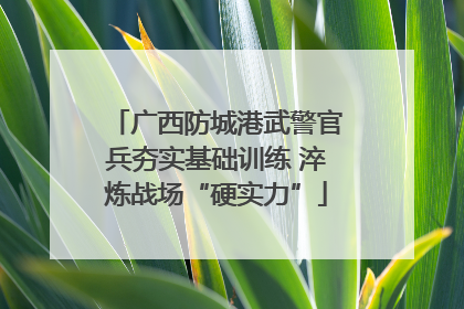 广西防城港武警官兵夯实基础训练 淬炼战场“硬实力”