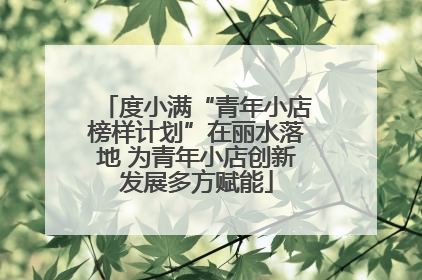 度小满“青年小店榜样计划”在丽水落地 为青年小店创新发展多方赋能