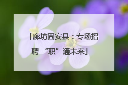 廊坊固安县：专场招聘 “职”通未来