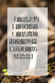 廊洽之约丨即买即退！廊坊离境退税服务端口亮相廊坊经洽会