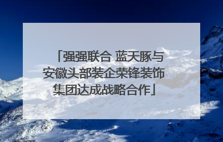 强强联合 蓝天豚与安徽头部装企荣锋装饰集团达成战略合作