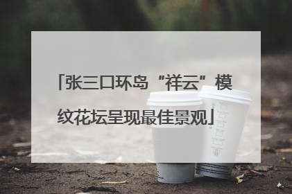 张三口环岛“祥云”模纹花坛呈现最佳景观