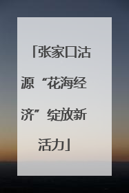 张家口沽源“花海经济”绽放新活力