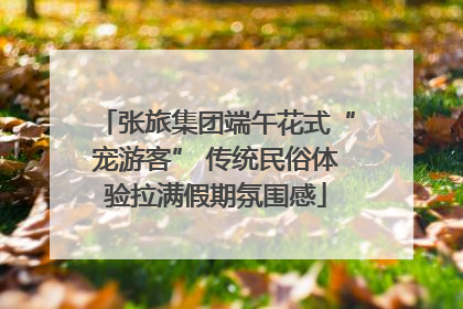 张旅集团端午花式“宠游客” 传统民俗体验拉满假期氛围感