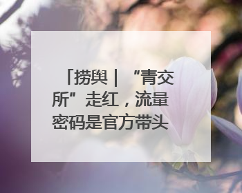 捞舆｜“青交所”走红，流量密码是官方带头“玩起来”
