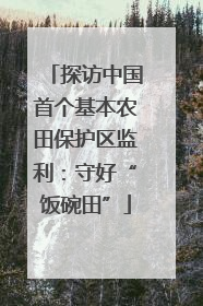 探访中国首个基本农田保护区监利：守好“饭碗田”