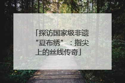 探访国家级非遗“夏布绣”：指尖上的丝线传奇