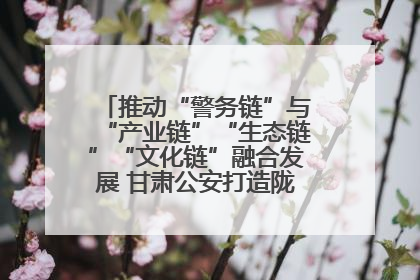 推动“警务链”与“产业链”“生态链”“文化链”融合发展 甘肃公安打造陇原旅游警务品牌